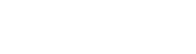 Cérebro Adolescente